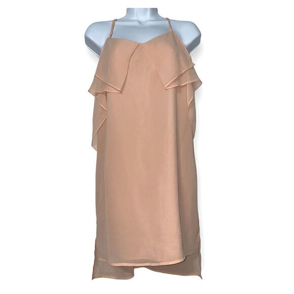BCBGeneration Chiffon Slip Dress Blush Color Size Small - Picture 1 of 8